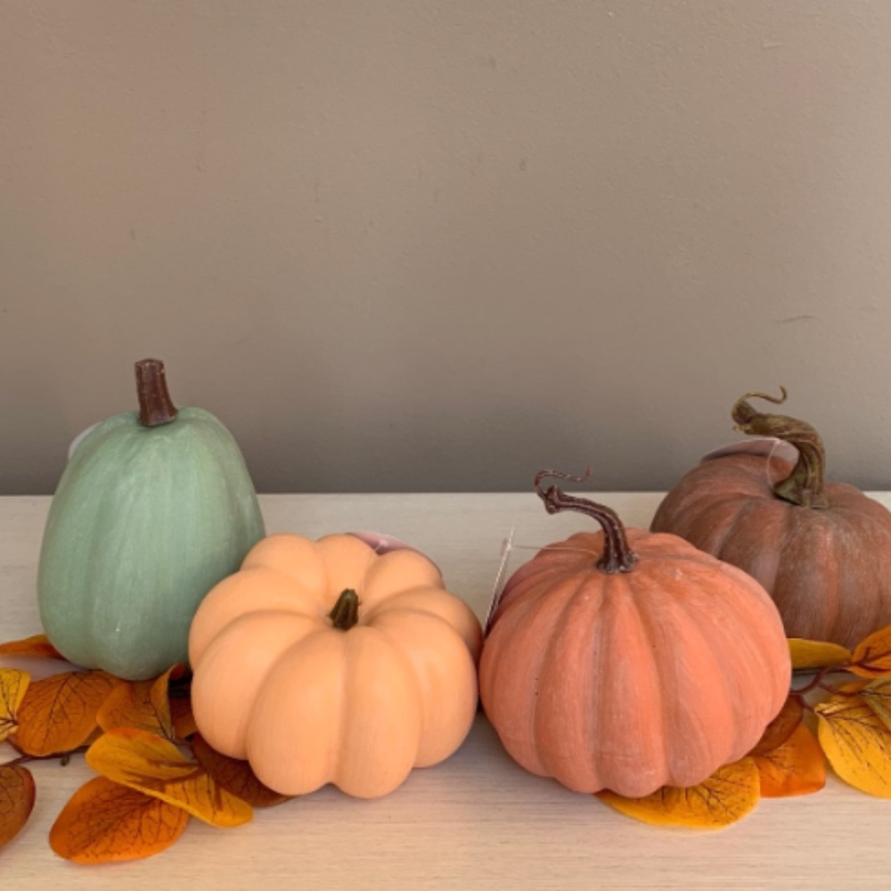 Small Decorative Pumpkins